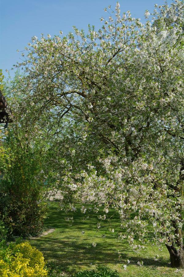 Bed and Breakfast Les Rendzines Nuisement-sur-Coole Esterno foto